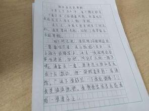 吃瓜大赛作文600字